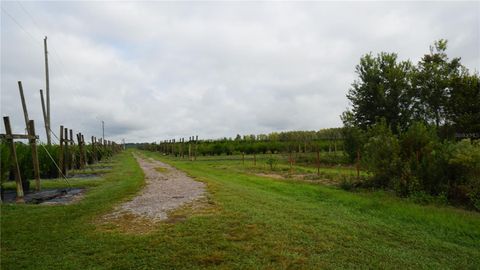 Tiny photo for Douglas Road, Groveland, FL 34736 (MLS # G5108033)