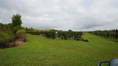 Tiny photo for Douglas Road, Groveland, FL 34736 (MLS # G5108033)