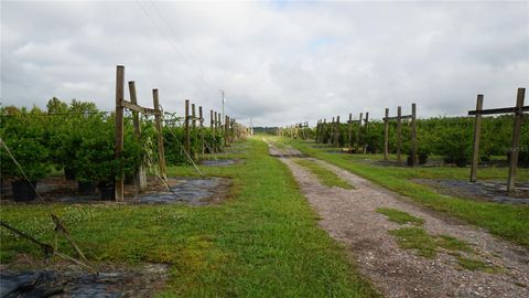 Tiny photo for Douglas Road, Groveland, FL 34736 (MLS # G5108033)