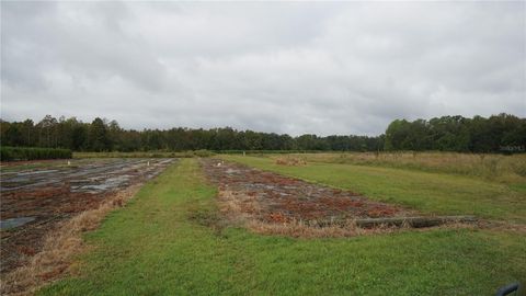 Tiny photo for Douglas Road, Groveland, FL 34736 (MLS # G5108033)