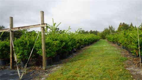 Tiny photo for Douglas Road, Groveland, FL 34736 (MLS # G5108033)