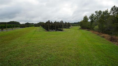 Tiny photo for Douglas Road, Groveland, FL 34736 (MLS # G5108033)