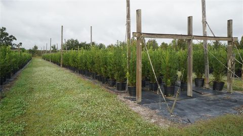 Tiny photo for Douglas Road, Groveland, FL 34736 (MLS # G5108033)