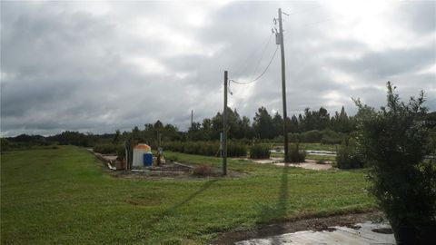 Tiny photo for Douglas Road, Groveland, FL 34736 (MLS # G5108033)