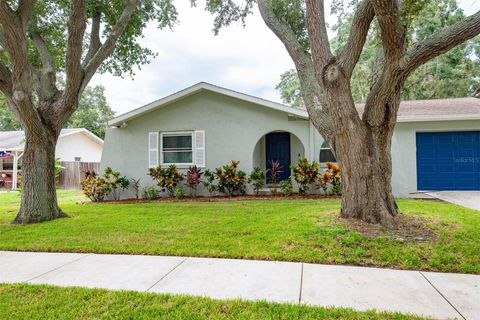 A home in PALM HARBOR