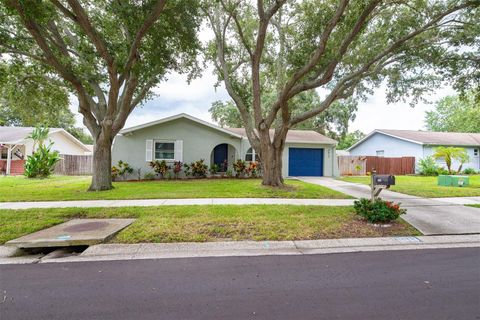 A home in PALM HARBOR