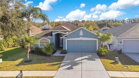 A home in LAND O LAKES