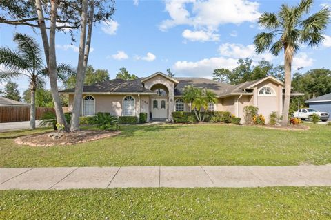 A home in ORANGE CITY