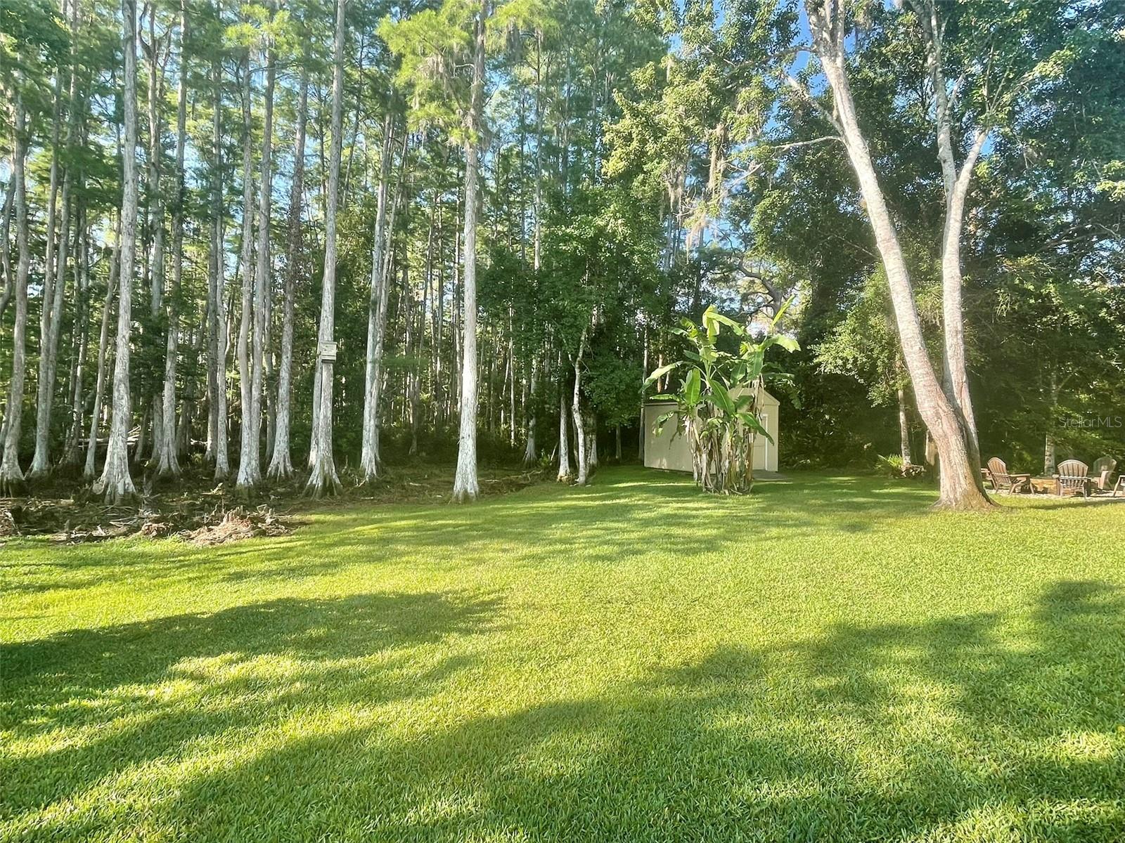 ARISTIDA PH 03 REP - Residential