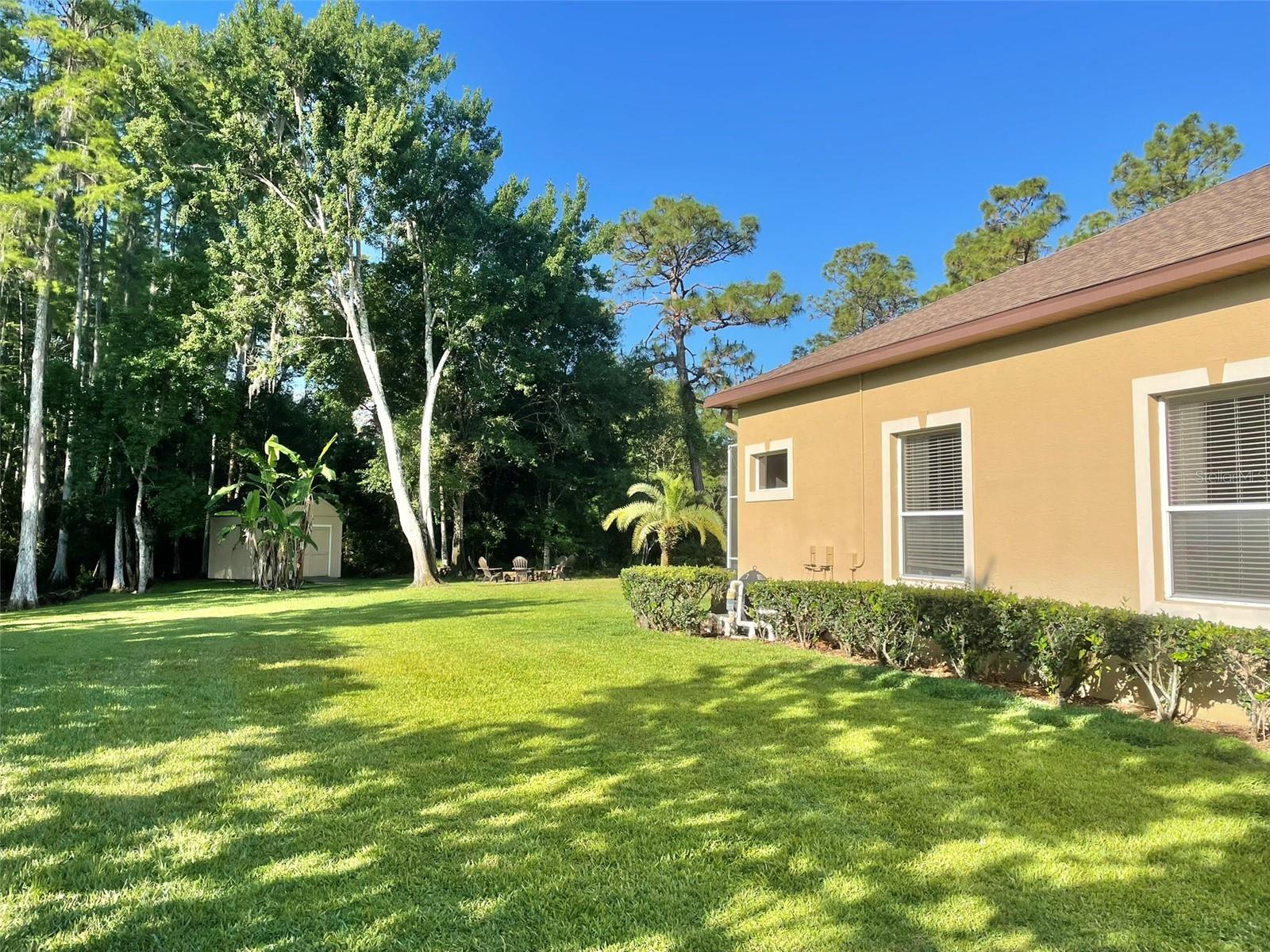ARISTIDA PH 03 REP - Residential