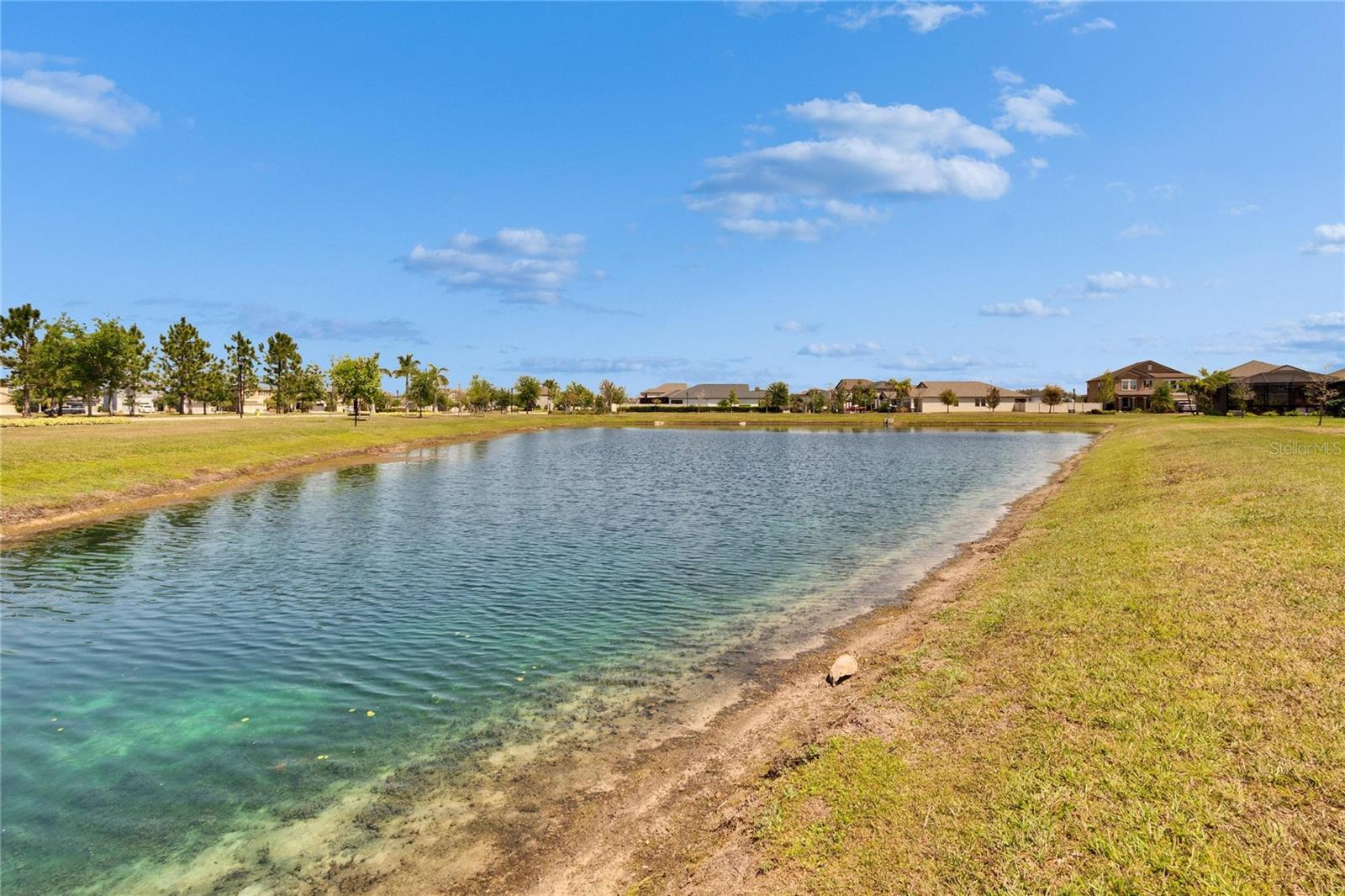 CYPRESS MILL PH 1C1 - Residential