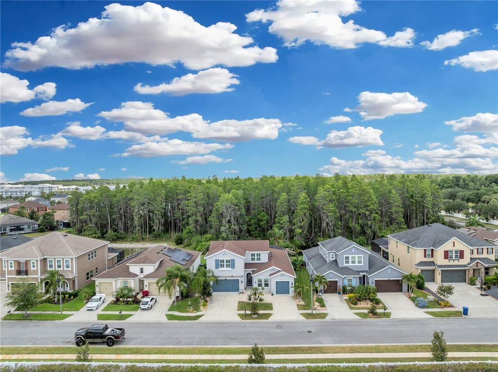 Photo of 1696 Hidden Springs Drive, Trinity, FL 34655 (MLS # TB8386052)