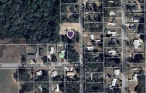 TBD SE 162ND TERRACE OCKLAWAHA FL 32179