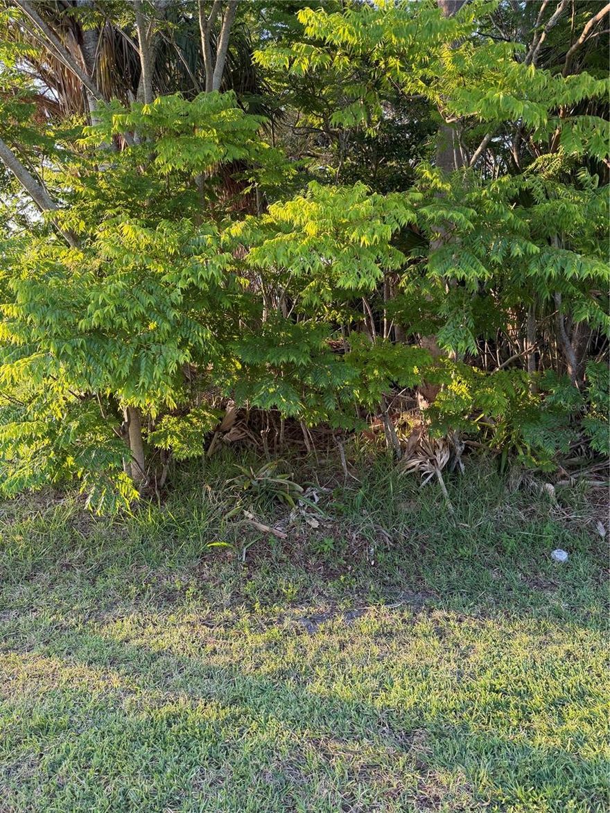 Flat treed lot near large parcels.