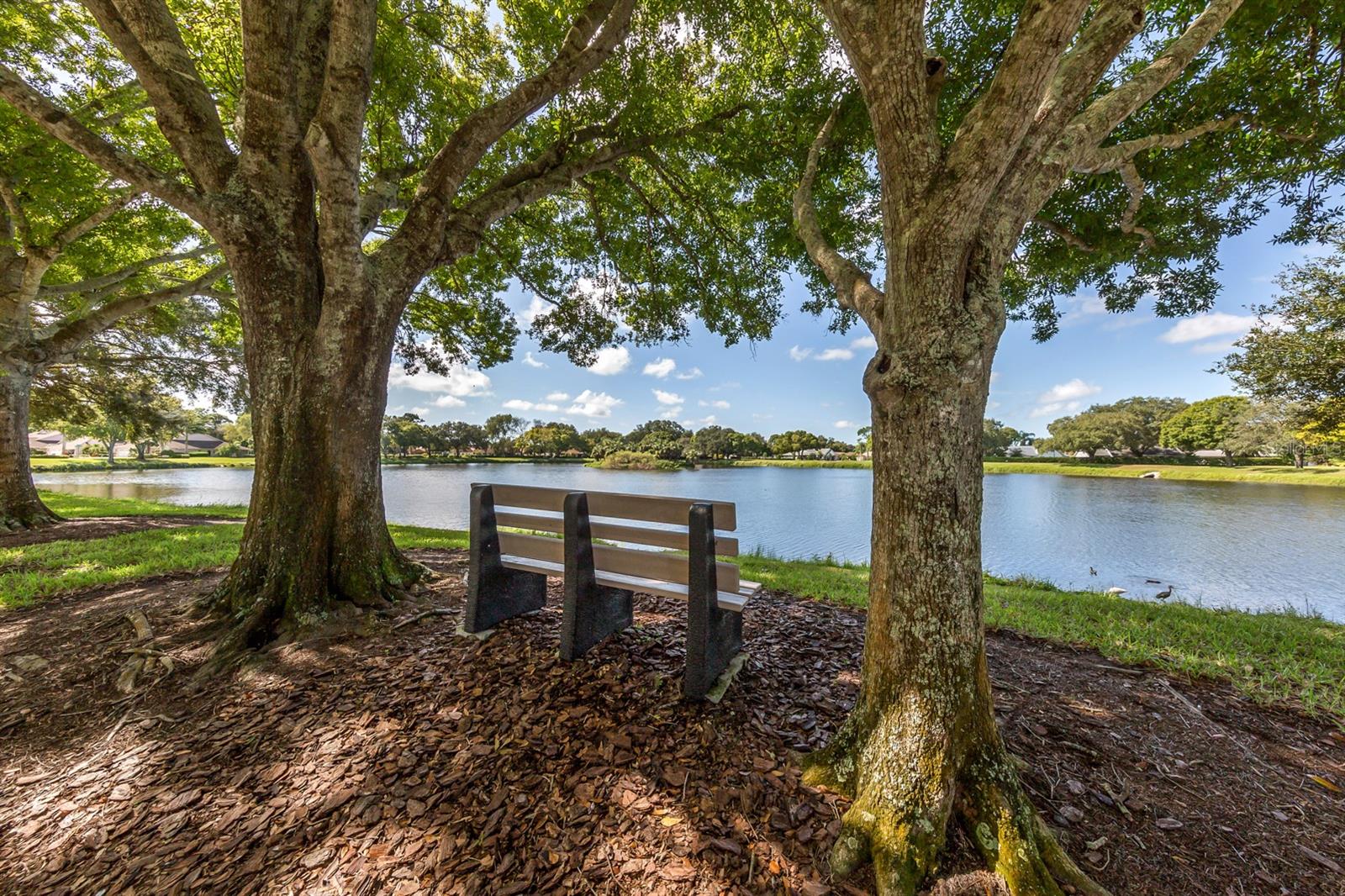 CHESTNUT CREEK ESTATES - Residential