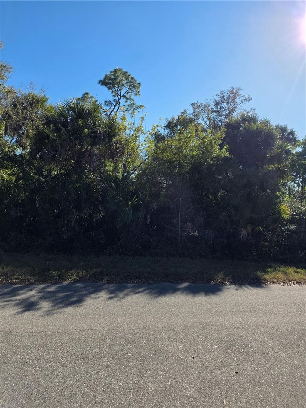 Photo of 12039 Miles Avenue, Port Charlotte, FL 33953 (MLS # D6145840)