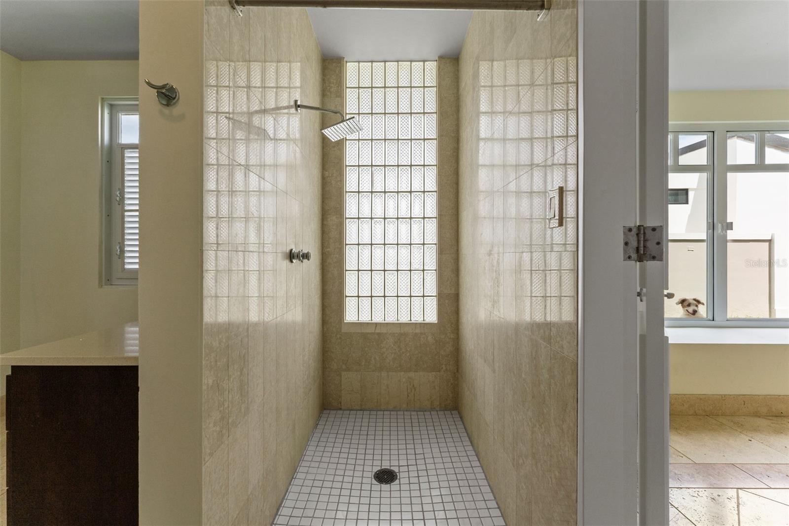 LOS PASEOS DEV - Residential