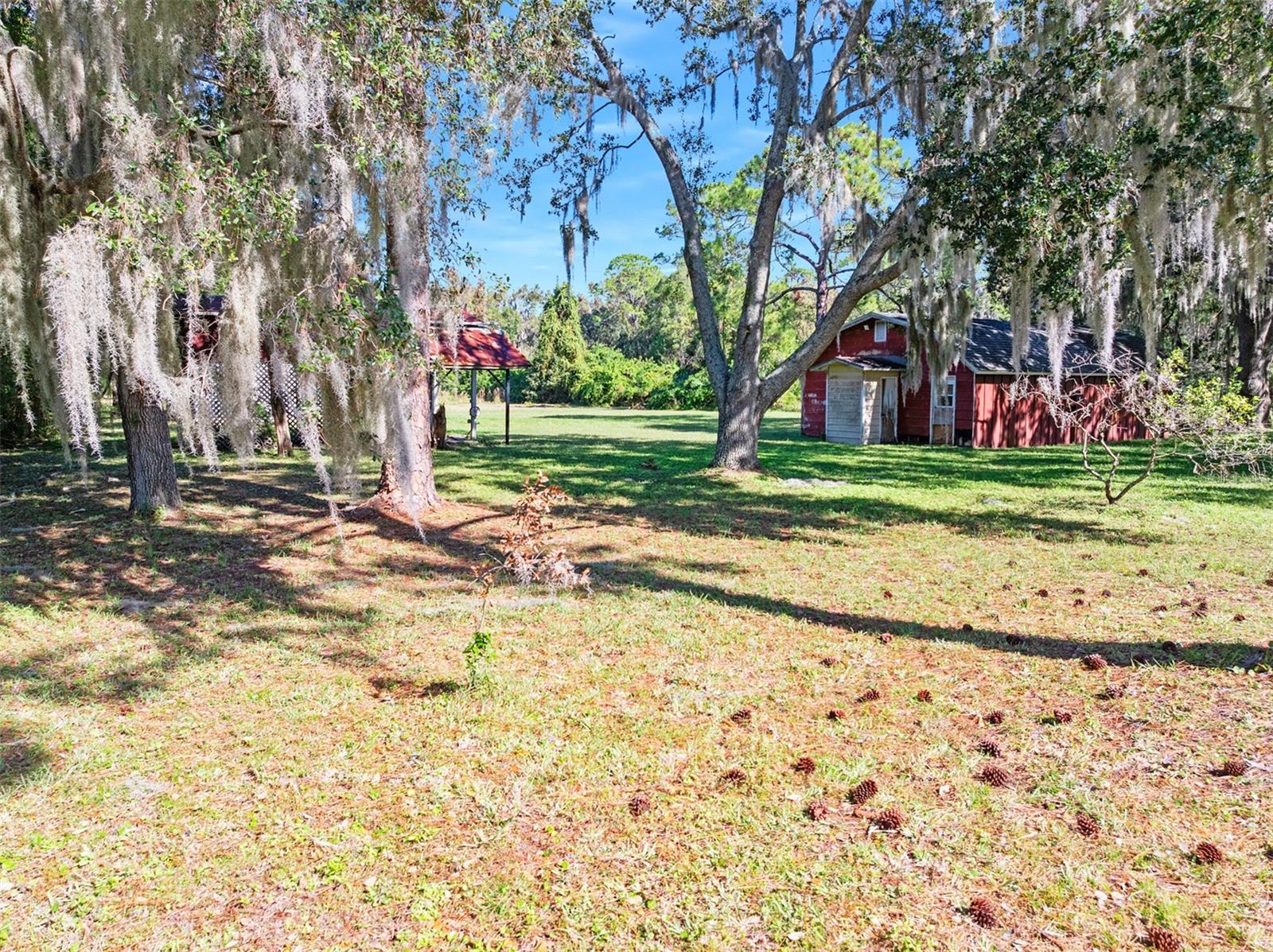 TOMOKA FARMS - Residential