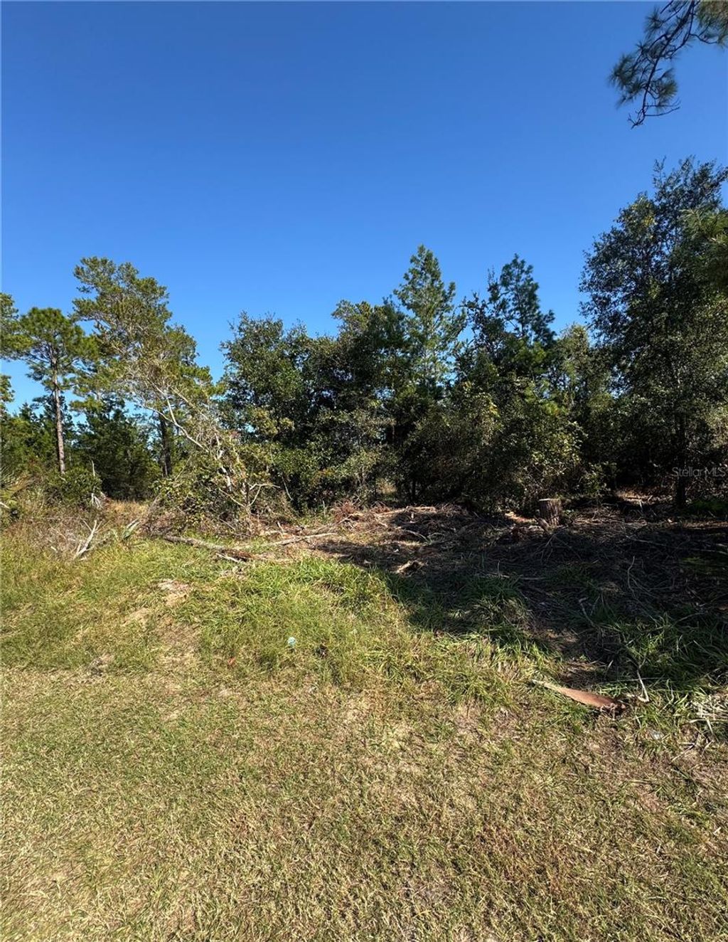 Photo of 19 Freeport Lane, Palm Coast, FL 32137 (MLS # FC314236)