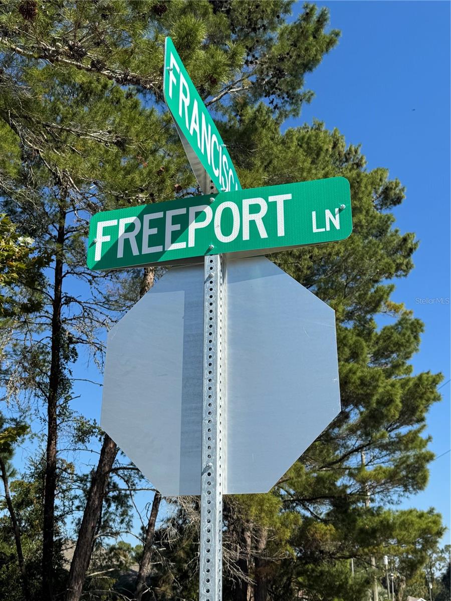 PALM COAST SEC 07 - Land