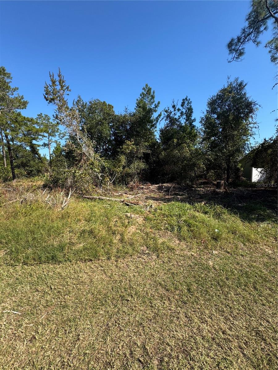 PALM COAST SEC 07 - Land