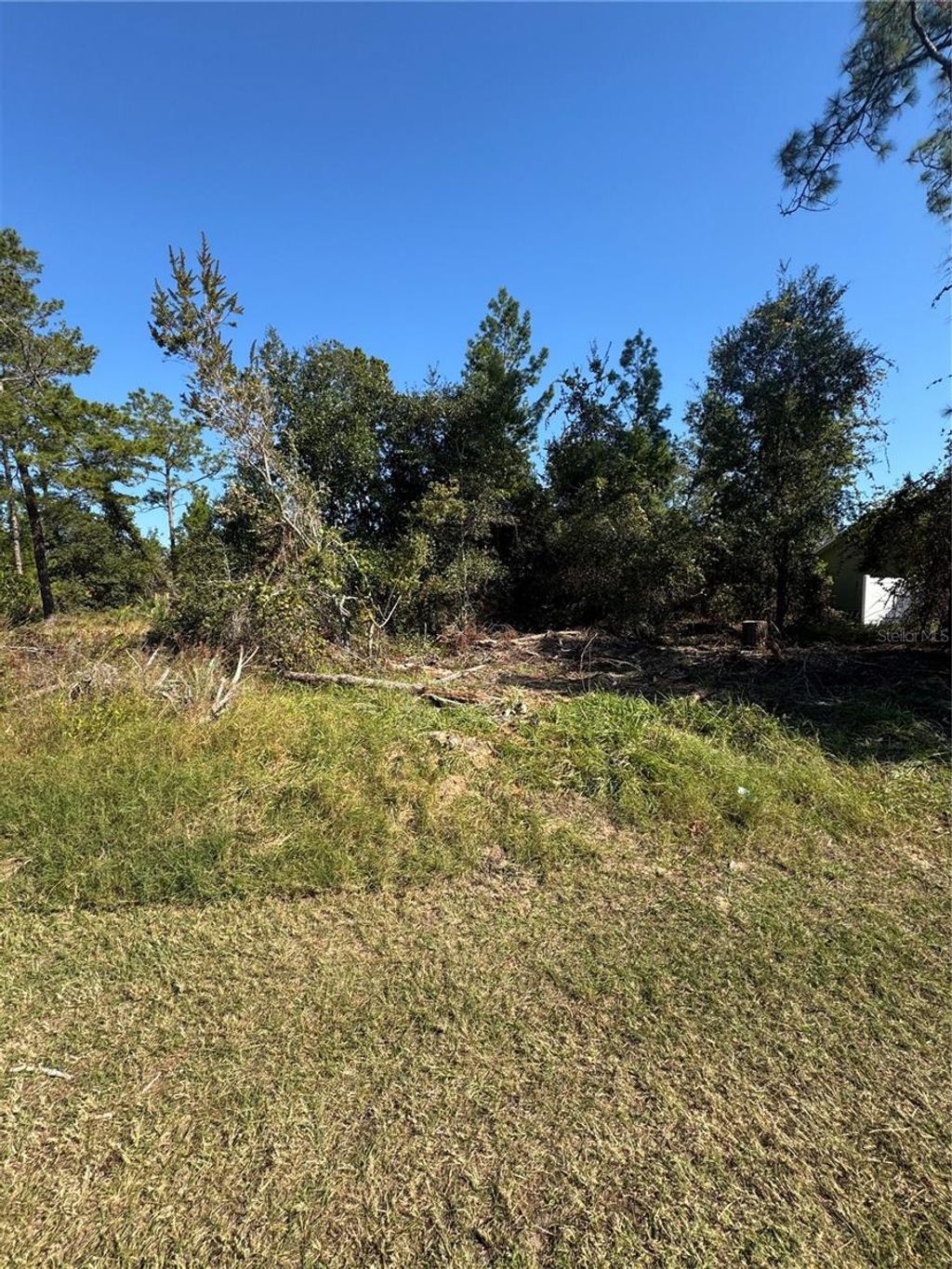 Photo of 19 Freeport Lane, Palm Coast, FL 32137 (MLS # FC314236)