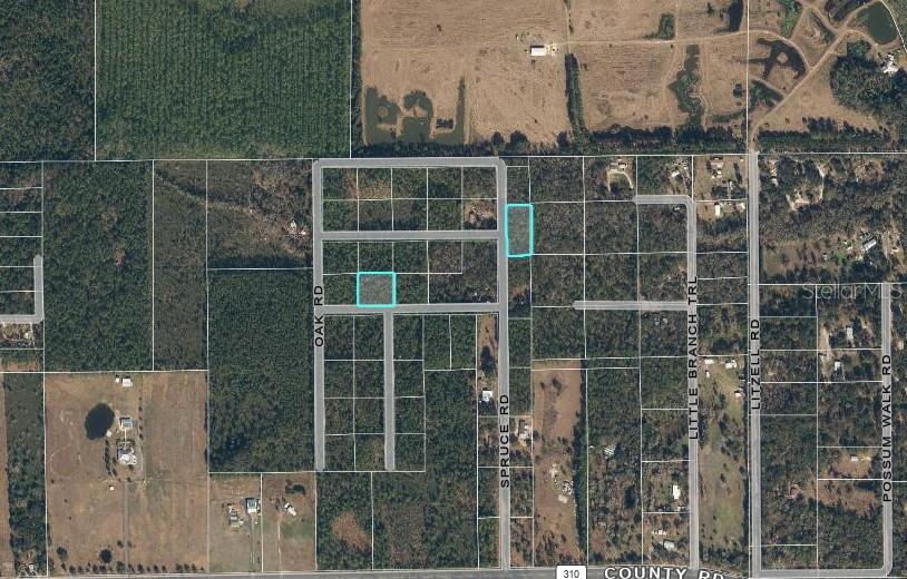 Photo of Spruce Road, Interlachen, FL 32148 (MLS # D6149130)