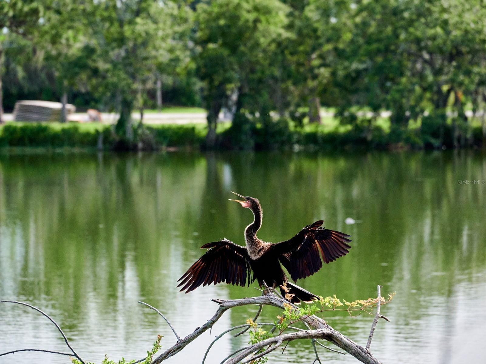 STONEHAVEN PH 4, 5, 6, 7 & 25 - Residential