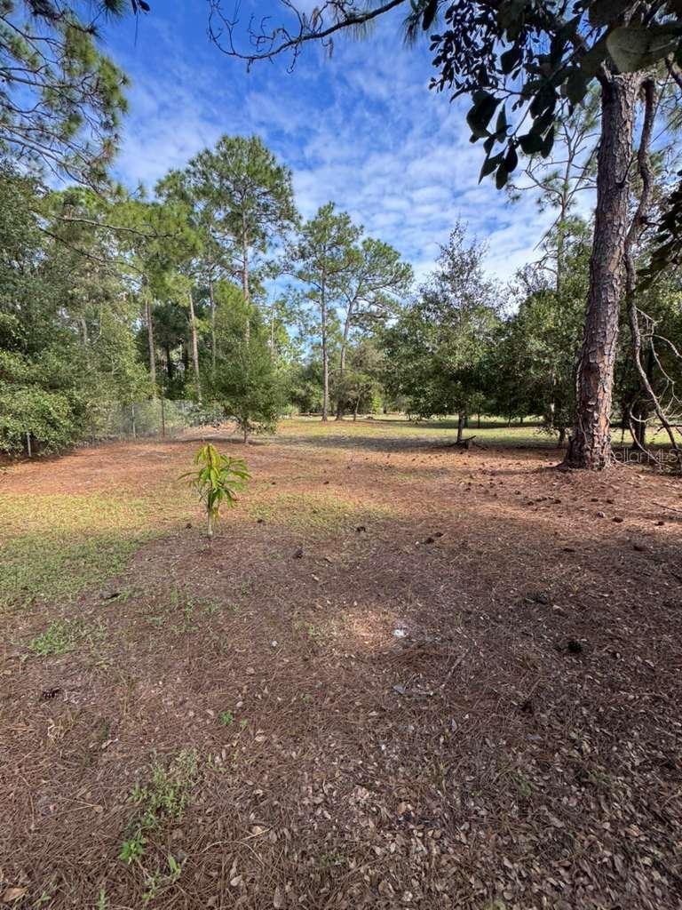 MONTURA RANCH ESTATES 5372 - Land