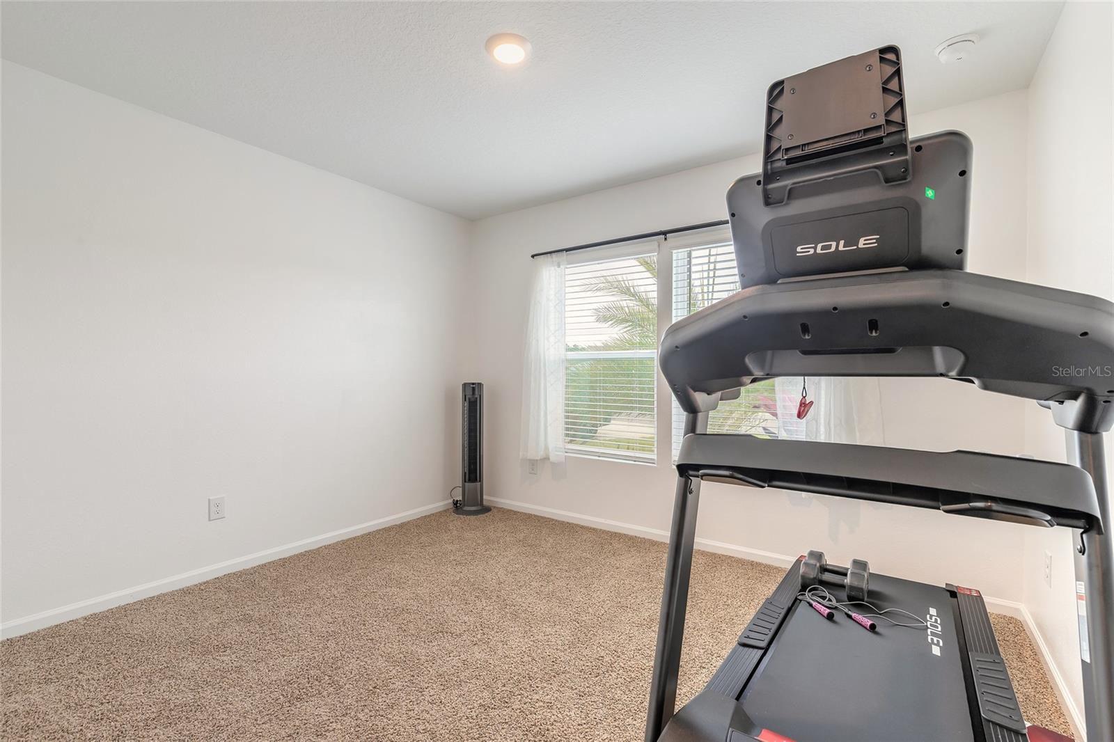 SAWMILL BRANCH/PALM COAST PARK P - Residential