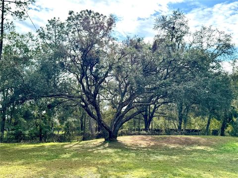 A home in ZEPHYRHILLS