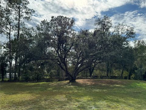 A home in ZEPHYRHILLS