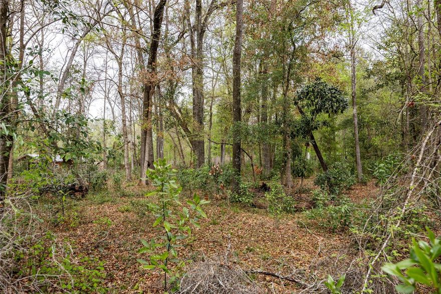 Welcome to North Central Florida!  This is Lot 45 which is naturally a wooded lot is located in Three Rivers Estates in Fort White recognized for River life – swimming, canoeing, kayaking, fishing, enjoying the beauty along the Santa Fe & Itchetuknee Rivers.  With access to 13 private parks & boat ramps just ride your golf cart around waving to the neighbors as you pass by.  Build or set up your dream home on almost a full acre.  Also available is the vacant lot next door & 4 other lots with power, wells & septic systems for 6 total connected lots.