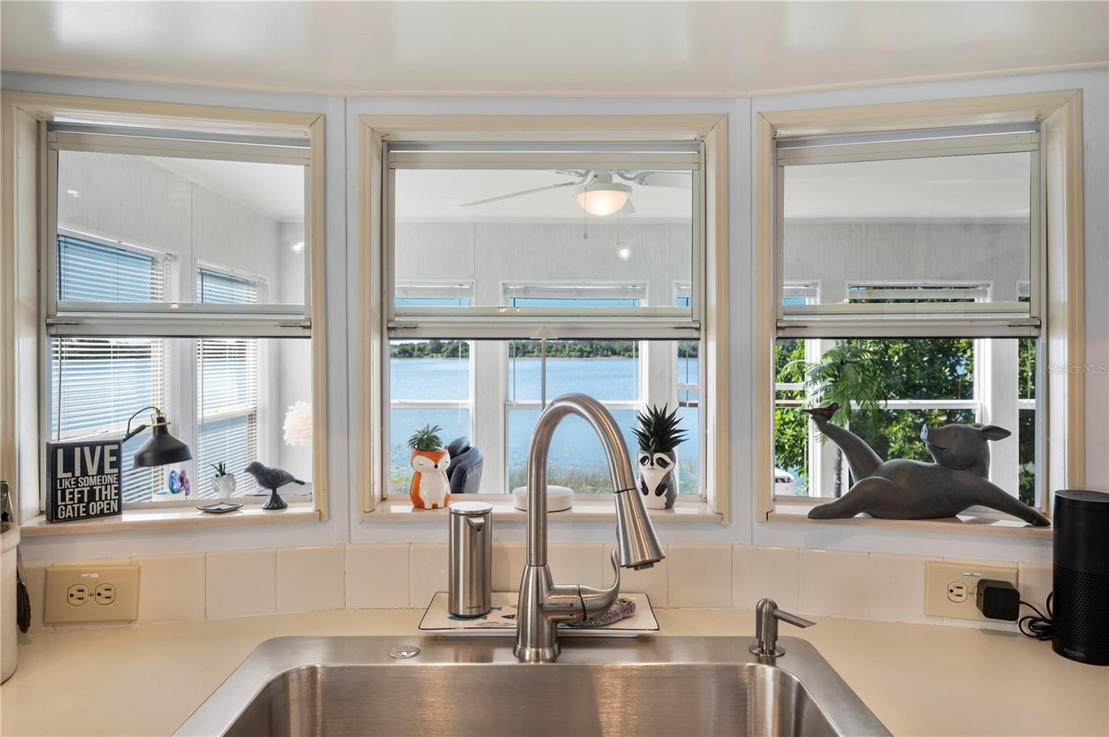 SADDLEBAG LAKE - Residential