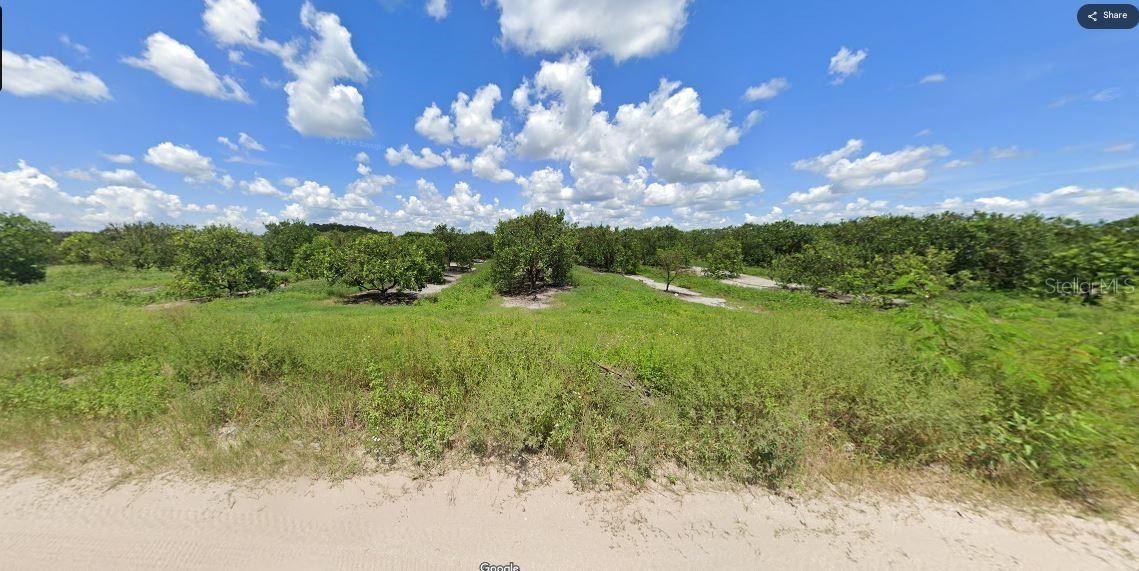 HOLOPAW GROVES ROAD
