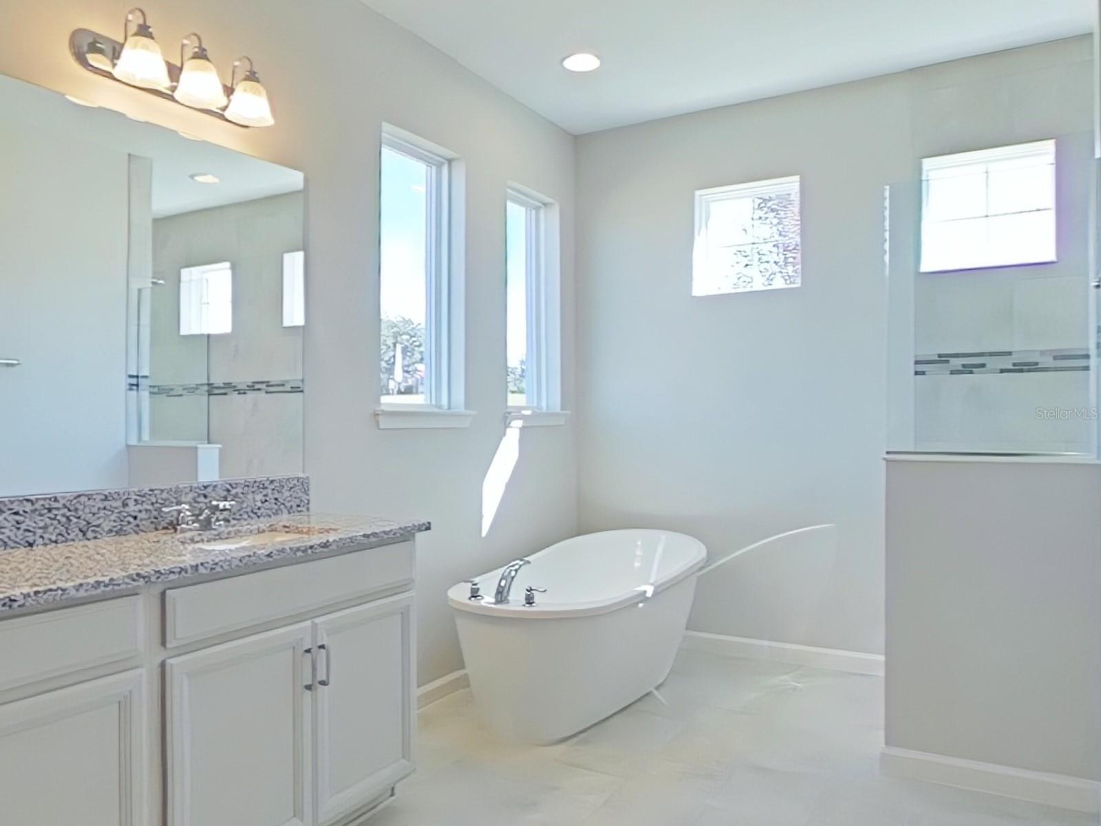 PALMS AT WINDERMERE - Residential