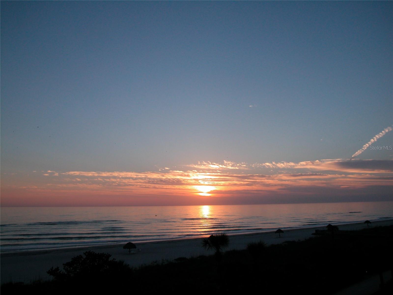CURRY COVE - Residential Lease