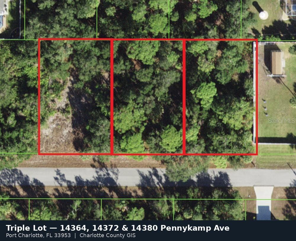 Photo of 14372 Pennykamp Avenue, Port Charlotte, FL 33953 (MLS # N6145843)