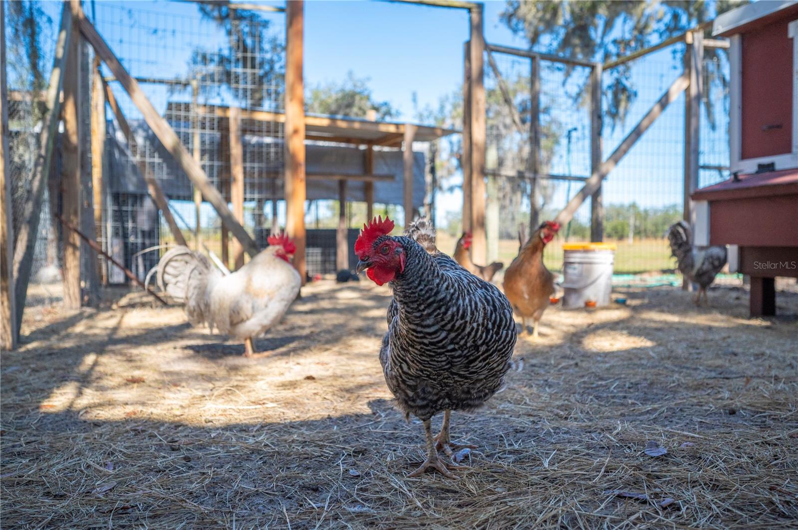 ACREAGE - Residential