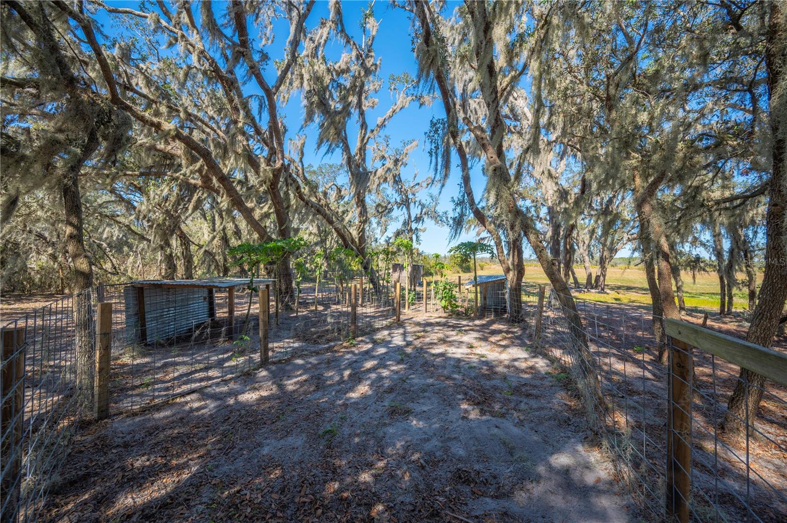 ACREAGE - Residential