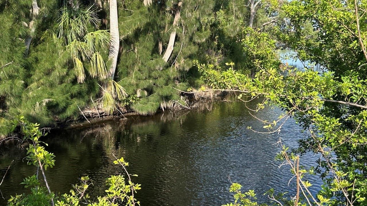 Discover a true slice of Florida paradise with this oversized waterfront lot, peacefully tucked away along the saltwater canals of North Port’s Warm Mineral Springs. Spend your days surrounded by nature — from the quiet presence of coastal birds to glimpses of fish moving through the clear waters, and even the occasional visit from a manatee. Located in a quiet, established neighborhood, this property offers the perfect balance of privacy and convenience, just minutes from the healing waters of Warm Mineral Springs, the beautiful beaches of Venice, and the exciting new Wellen Park with its shops, dining, and entertainment. Whether you dream of building a retreat or investing in one of Florida’s most charming areas, this is a rare opportunity to enjoy the natural beauty and relaxed coastal lifestyle that makes this region so special.