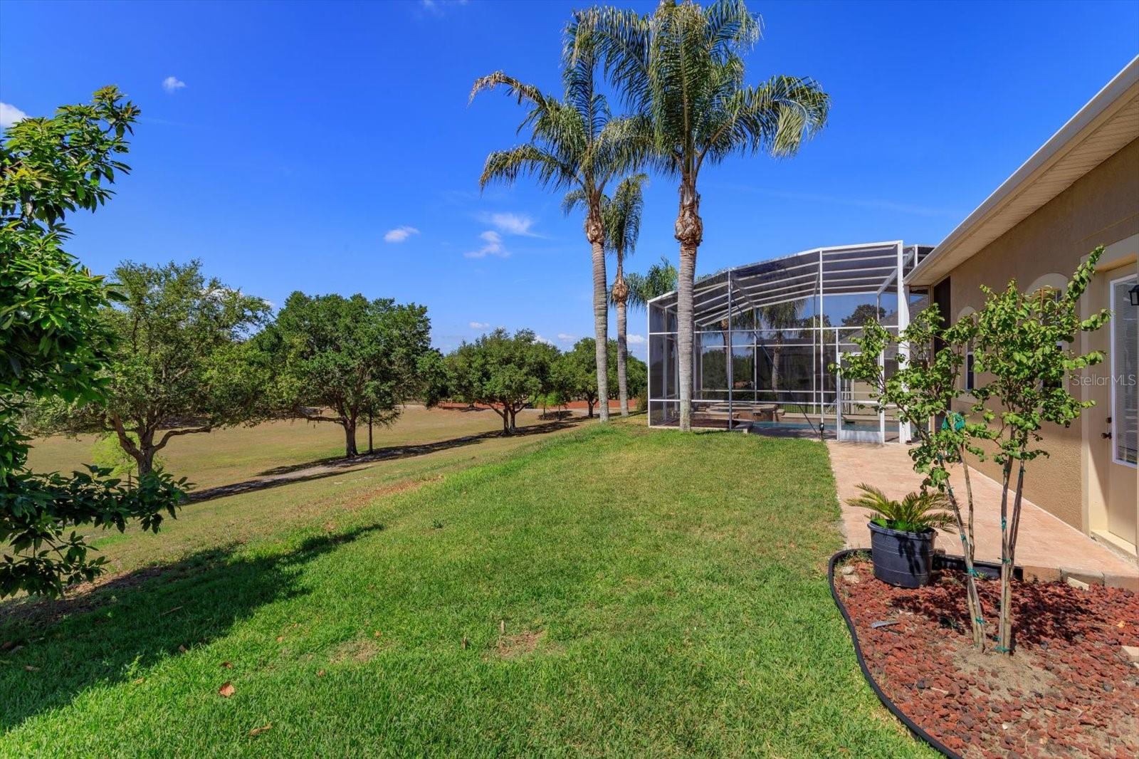WINDERMERE RIDGE - Residential