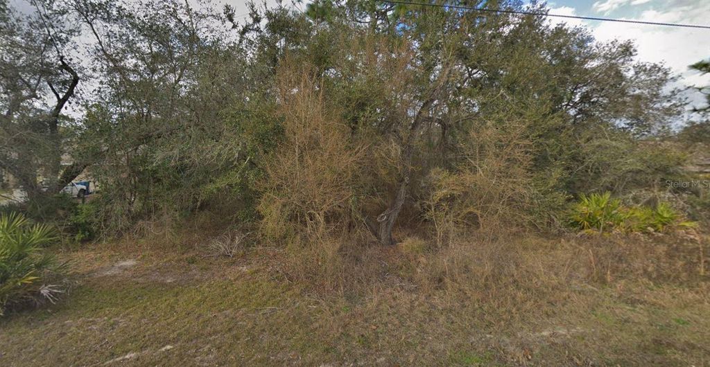 Photo of 11405 Petrel Avenue, Weeki Wachee, FL 34614 (MLS # TB8436226)