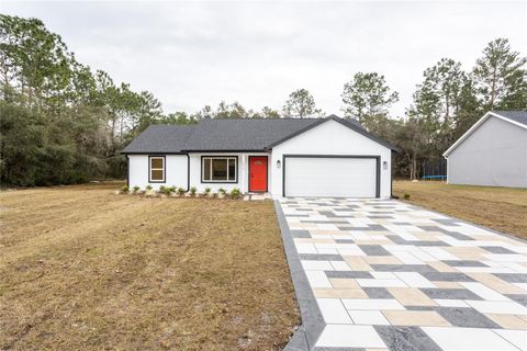 A home in SILVER SPRINGS