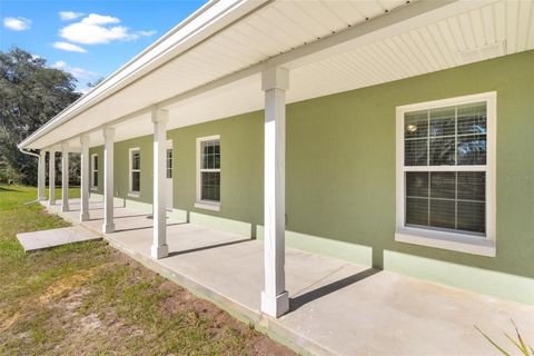 A home in LAKE PANASOFFKEE