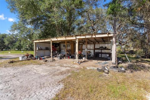 A home in LAKE PANASOFFKEE