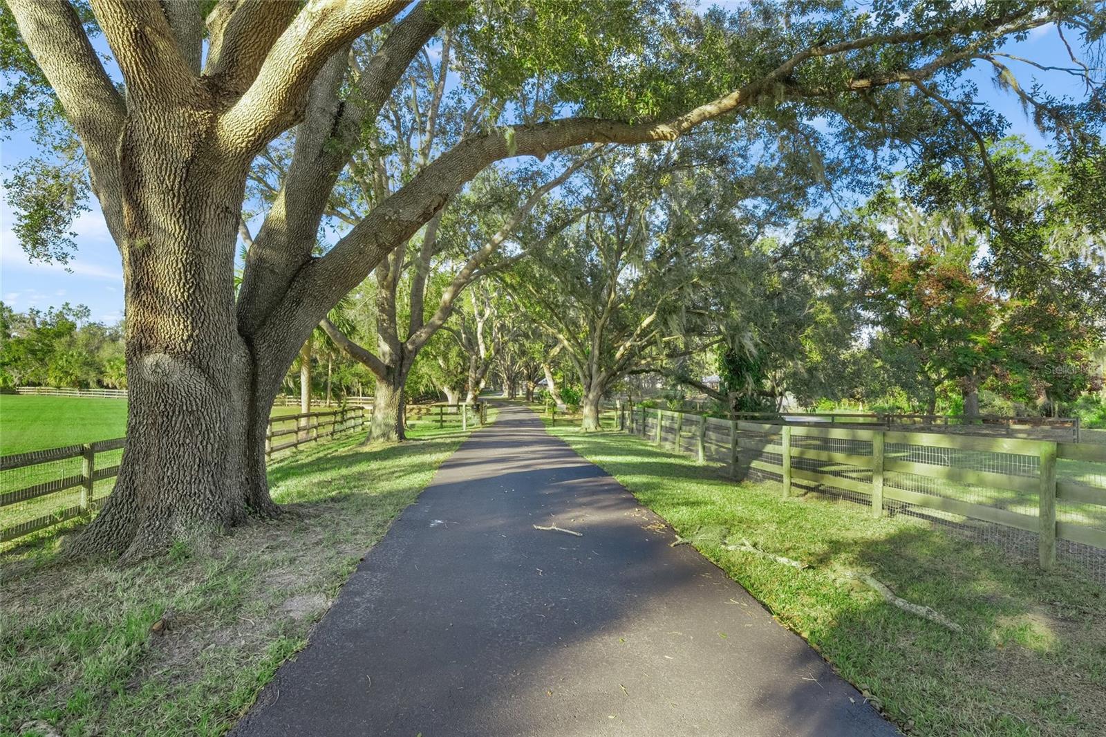SADDLE CREEK - Residential