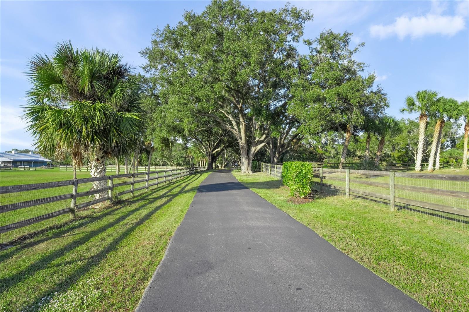 SADDLE CREEK - Residential