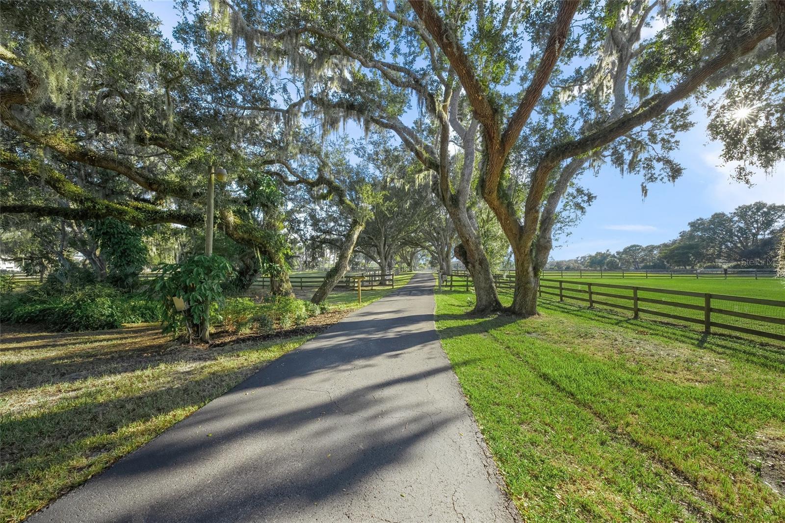 SADDLE CREEK - Residential