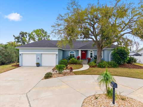 Photo of 846 Birdie Way, Apollo Beach, FL 33572 (MLS # TB8480609)